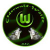 Oderwald-Wolf